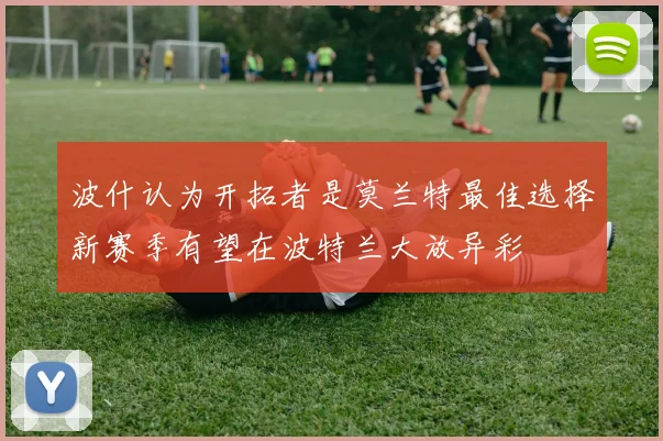 波什认为开拓者是莫兰特最佳选择新赛季有望在波特兰大放异彩